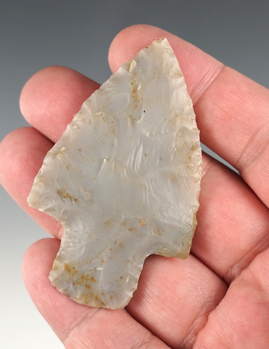 Incredibly thin and well flaked 2 3/4" Flint Ridge Adena with minor restoration. Belmont Co., Ohio.