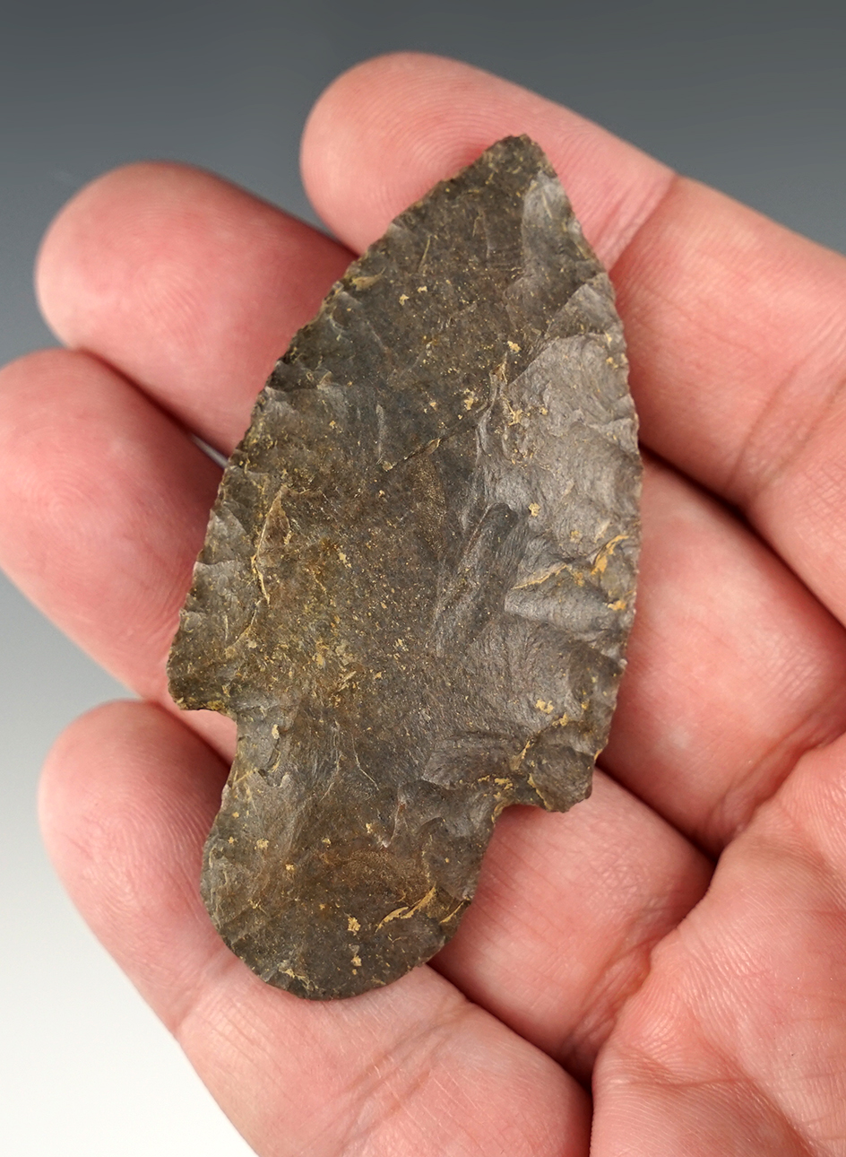 Nicely made 2 3/4" Kentucky Adena point that is well patinated.