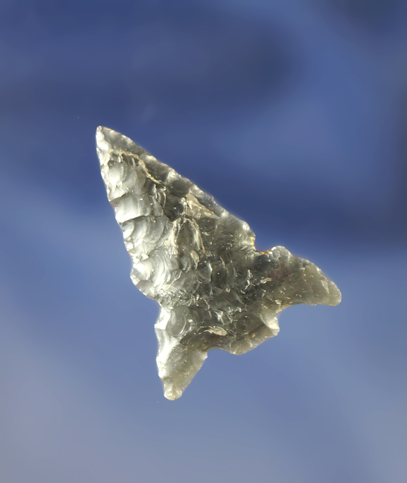 3/4" Savies Island that is nicely flaked from obsidian. Found near the Columbia River.