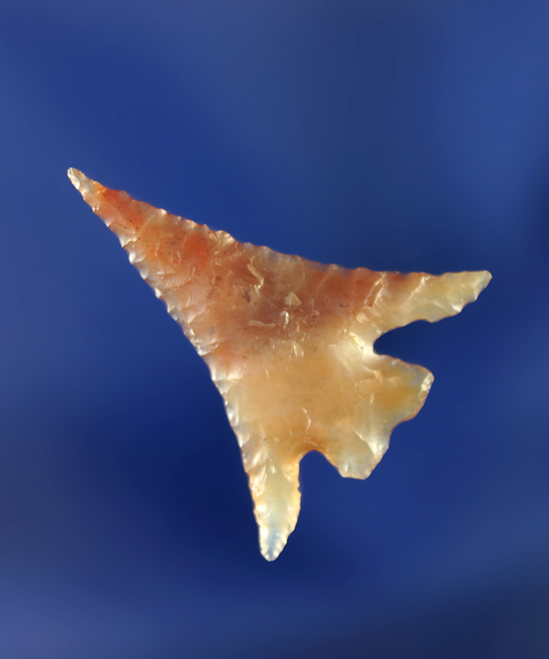 Truly exceptional in every respect! 15/16" Columbia Plateau split-stem that is very thin with excell