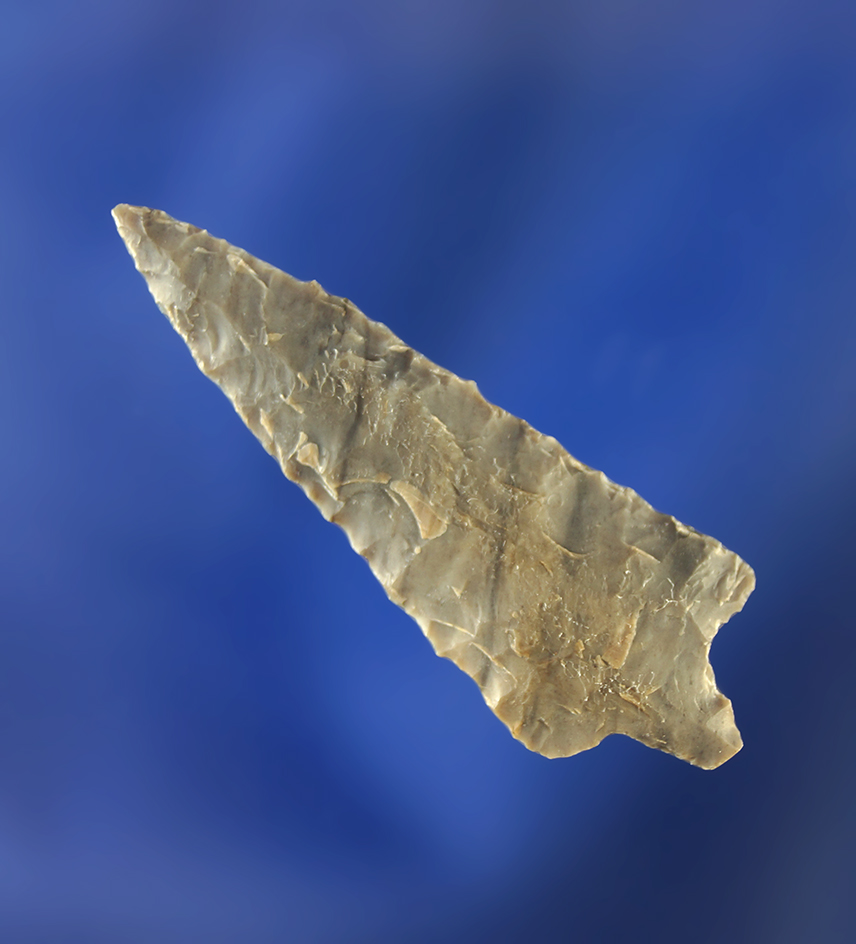 Exceptional flaking on this 1 1/2" Rabbit Island made from nicely banded material.