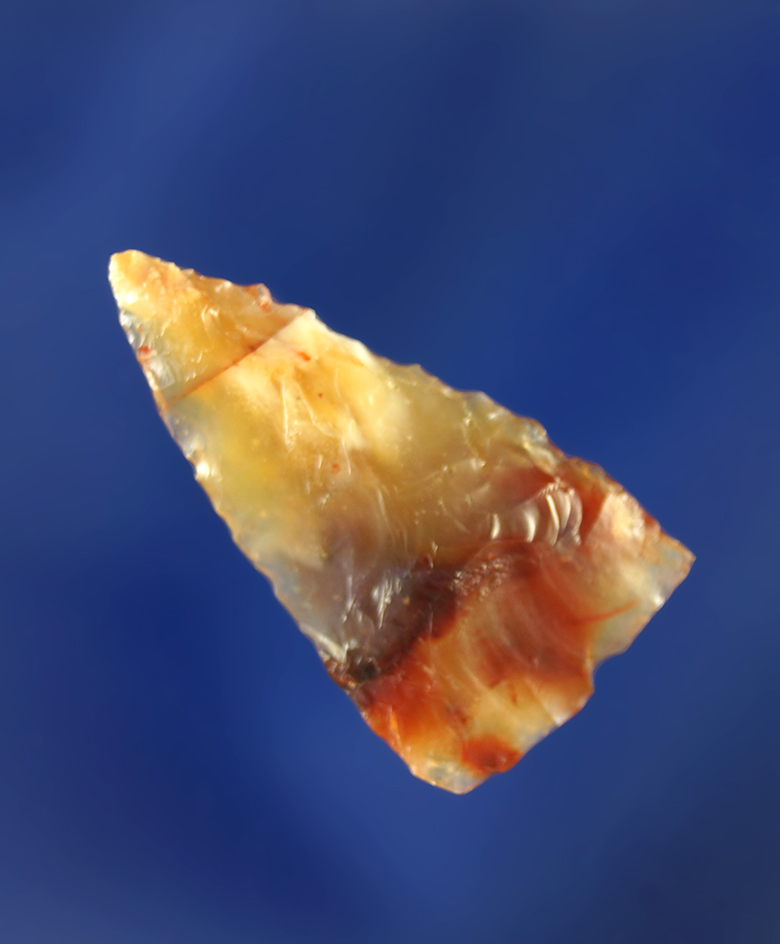1" Carnelian Agate Cottonwood Triangular arrowhead that is highly translucent.