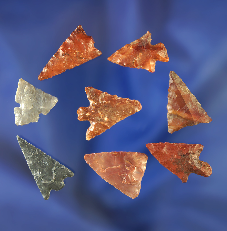 Group of eight assorted arrowheads, including some nice triangles. Largest is 7/8".