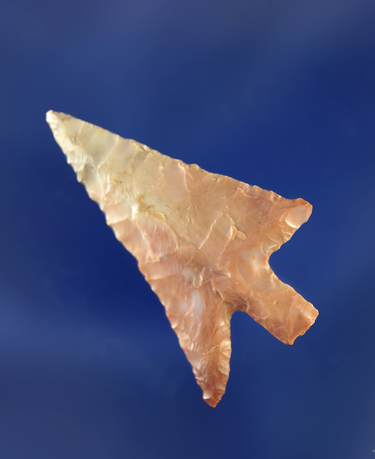 1 1/4" well flaked Columbia Plateau with excellent style and a long swept wing