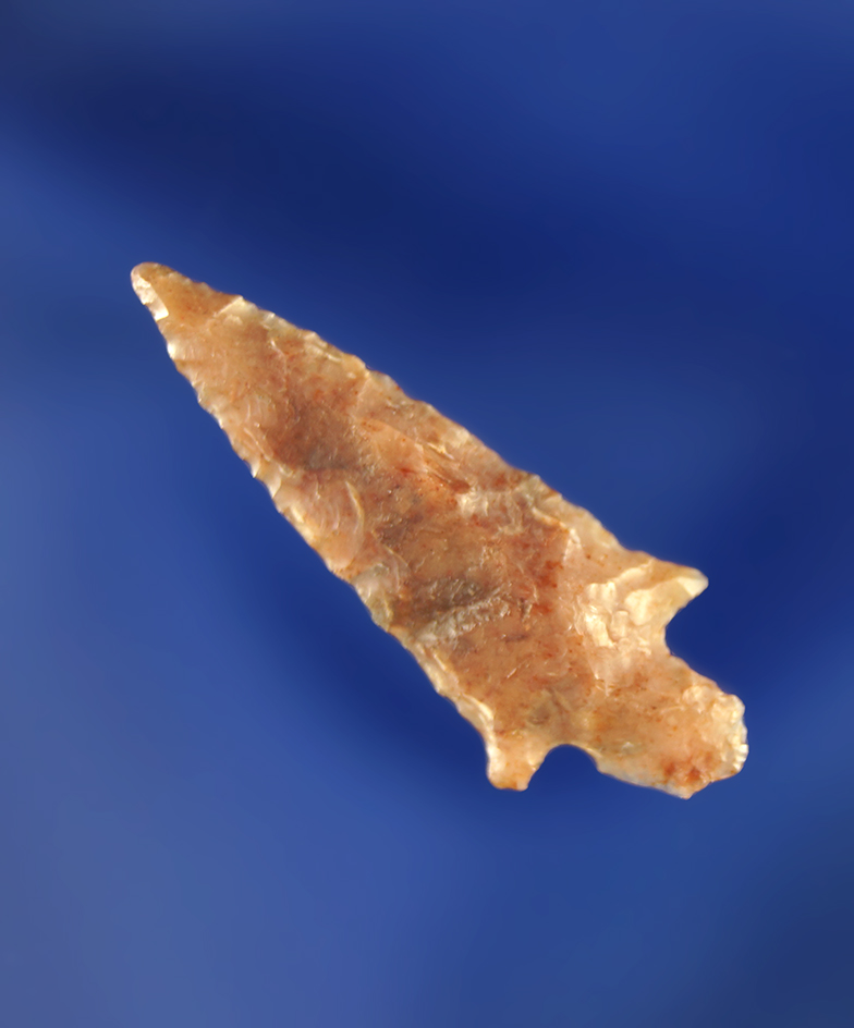 1 1/16" Dagger with nicely flared ears.