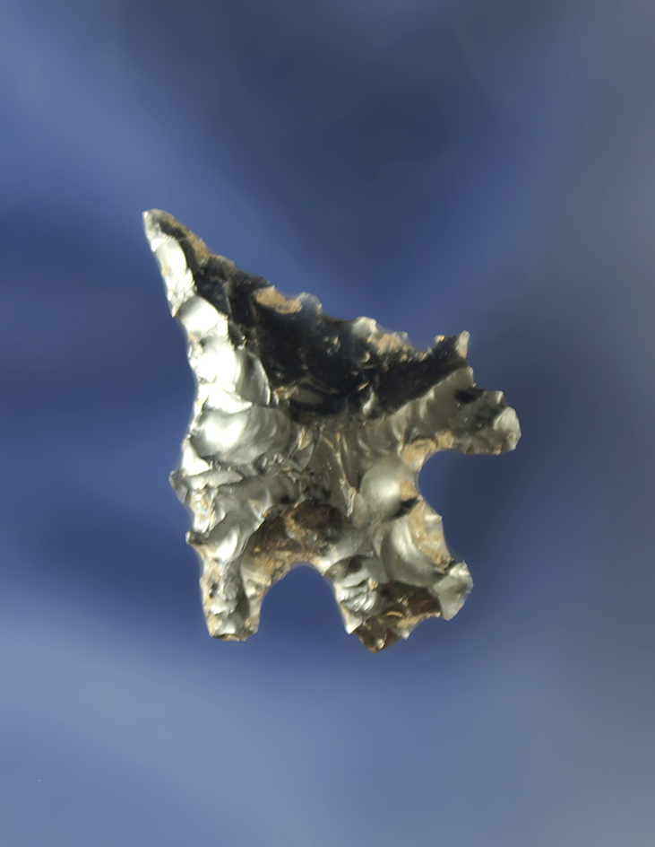 Heavily serrated 13/16" obsidian split stem. Found near the Columbia River, by Robert Howard