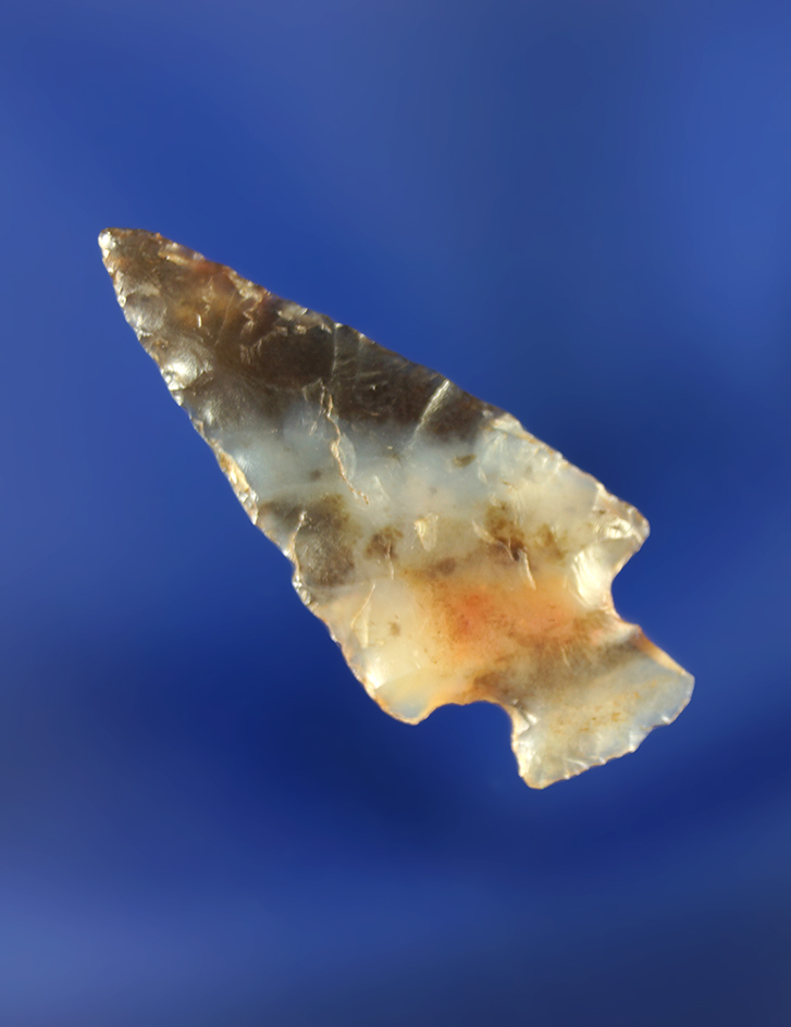 Incredible material quality on this semi translucent 1 1/16" Rose Springs.