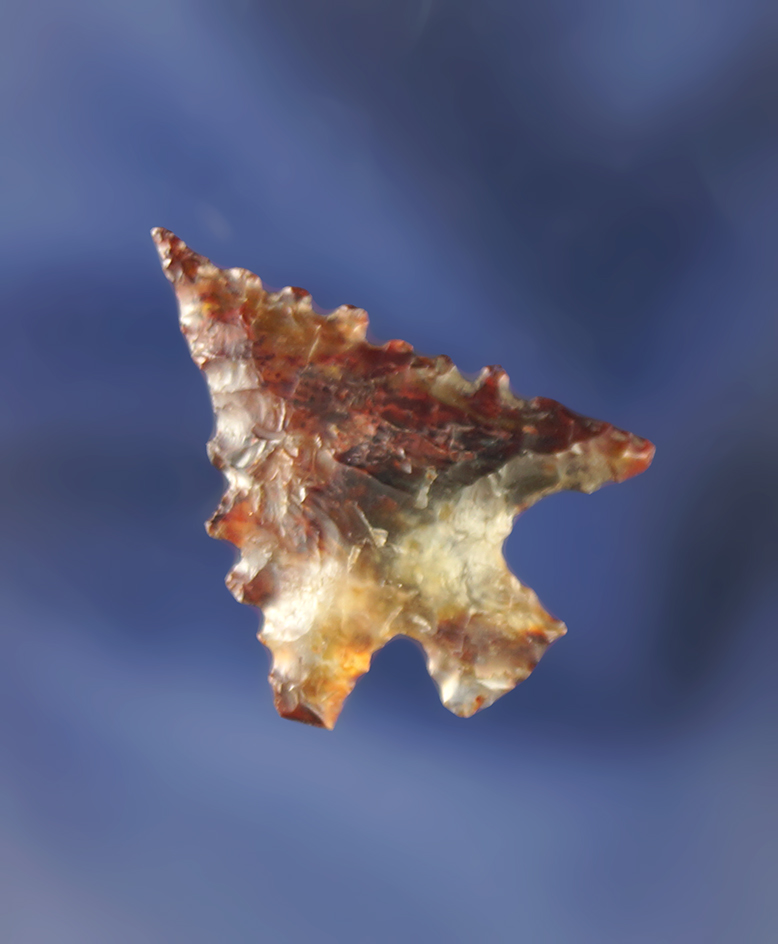 1" Columbia Plateau with wicked serrations made from beautiful multicolored agate.