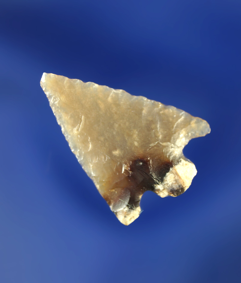 13/16" Columbia Plateau made from nicely translucent multicolored agate.