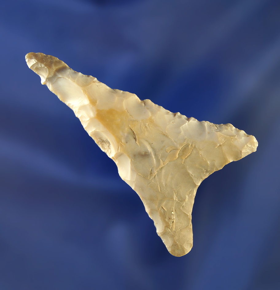 2 11/16" Columbia Mule Ear.