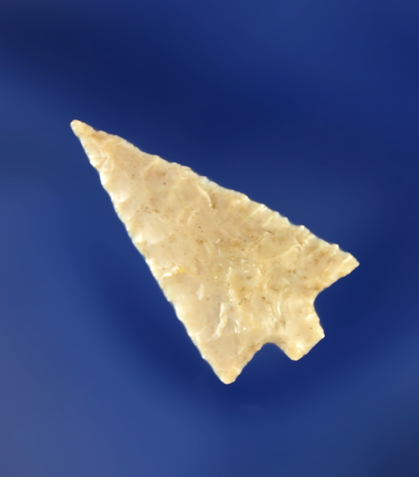 Very thin and nicely flaked 13/16" Columbia Plateau.