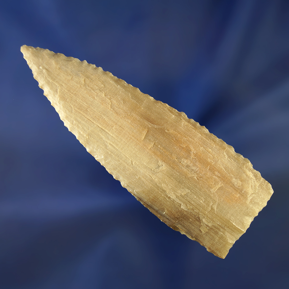 3 9/16" Thin and well made Petrified wood knife with very unique edge serrations.