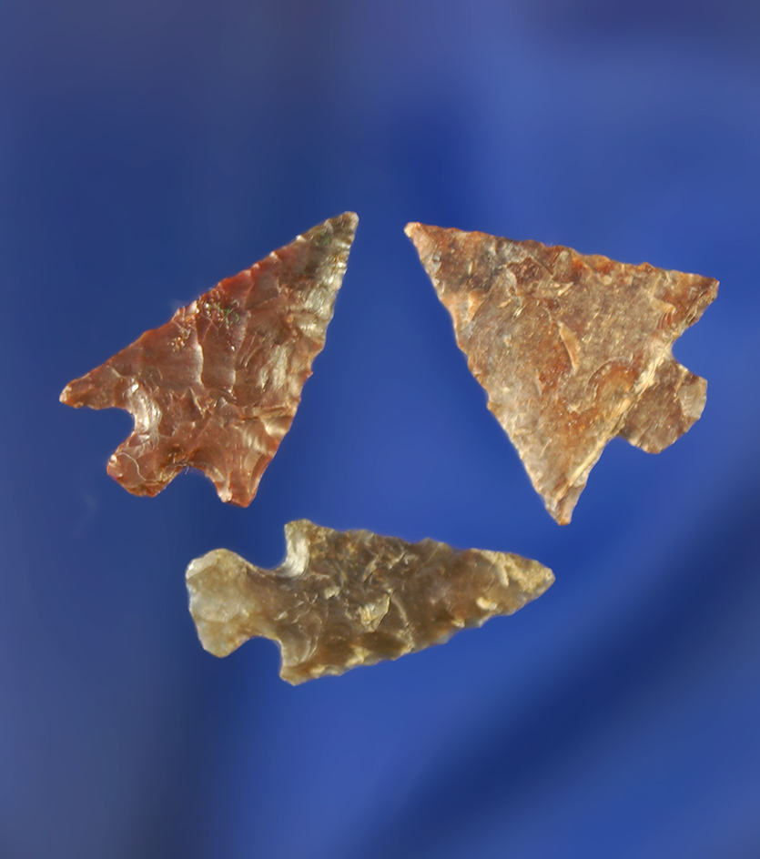 Nice set of three Columbia River arrowheads in good condition. Largest is 5/8".