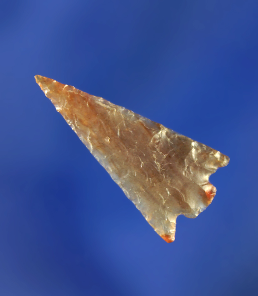 13/16" Columbia Plateau that is very delicately flaked from beautiful highly translucent colorful Ag