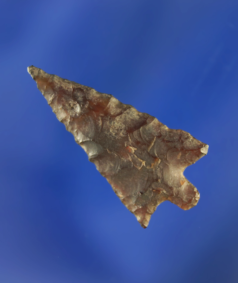 1" nicely styled Wallula.     Dewey was a member of the O.A.S.