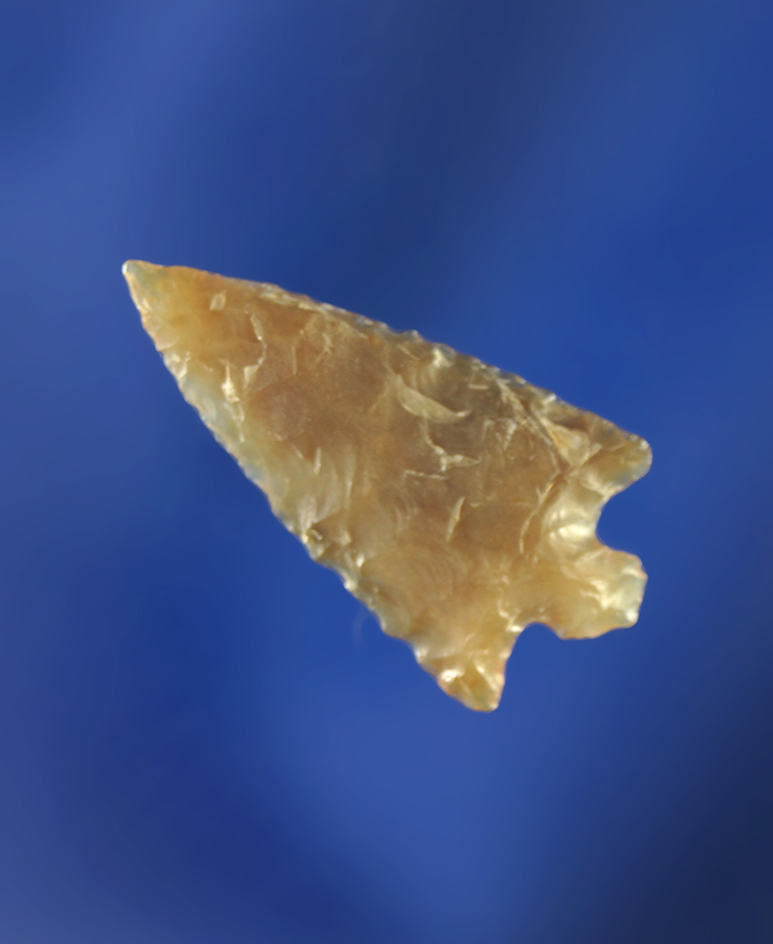 7/8" Columbia Plateau made from nicely translucent chalcedony.