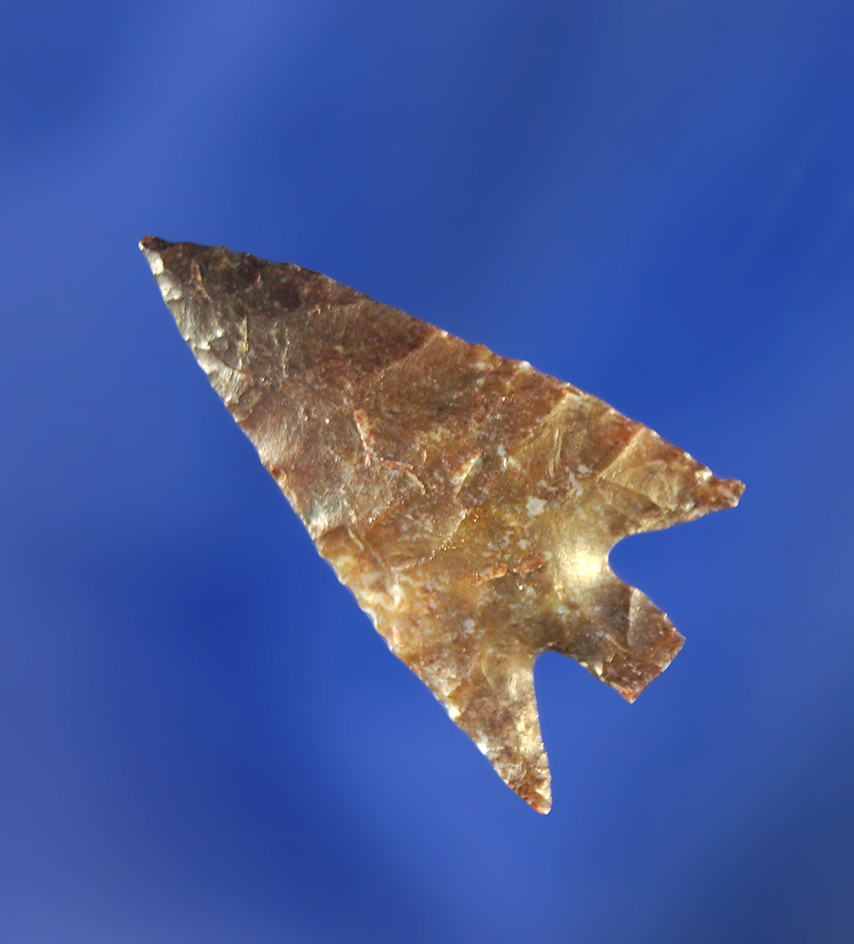 15/16" Columbia Plateau that is well flaked with excellent style.