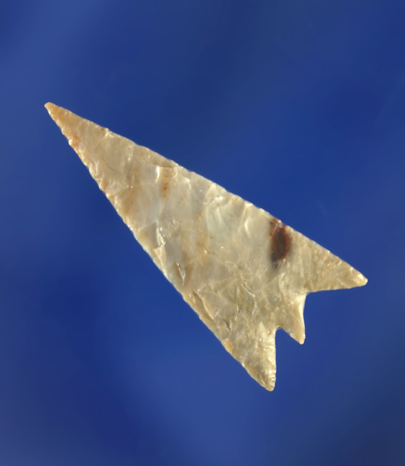 Exceptionally thin and delicately flaked 1" Columbia Plateau made from quality material.