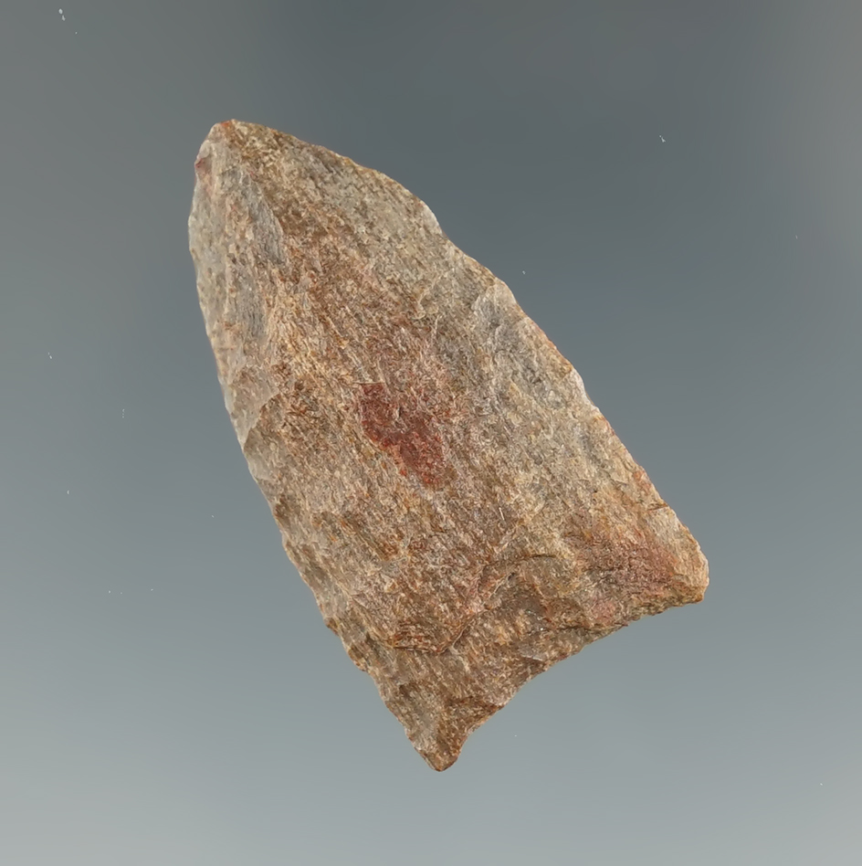 1 7/16" Petrified Wood Midland found near Sam Rayburn Dam in Jasper Co., TX in 1935. COA