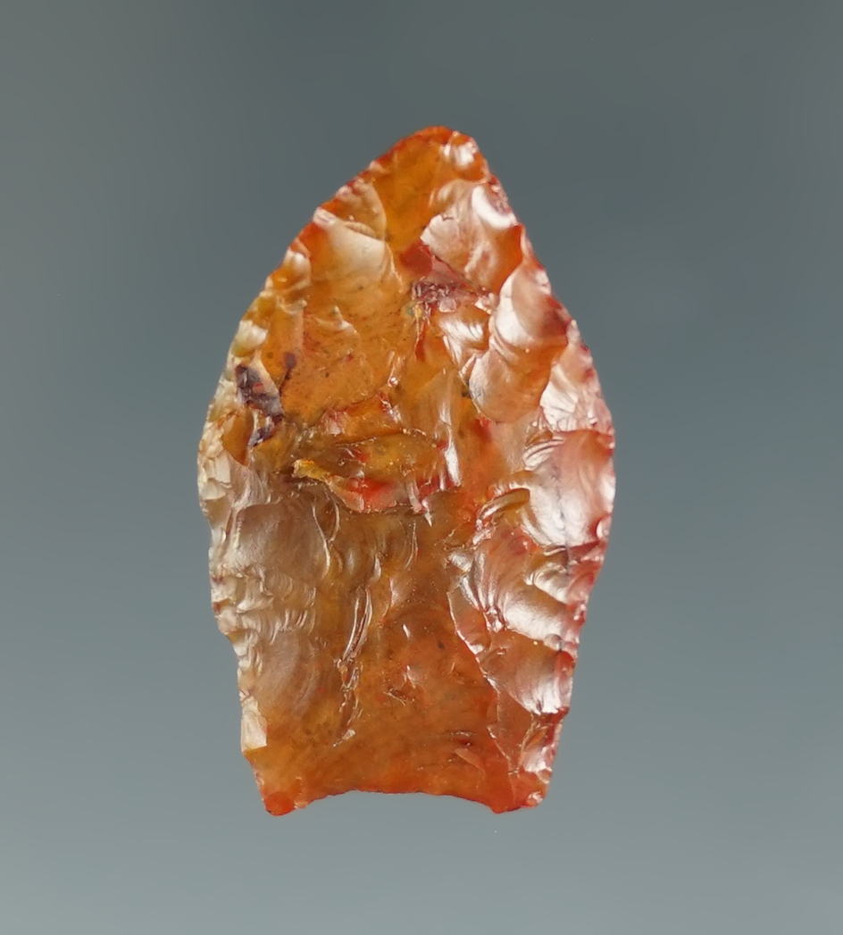 Nice! 1 3/16" Paleo Spedis - beautiful Carnelian agate found near the Col. River. Pictured!