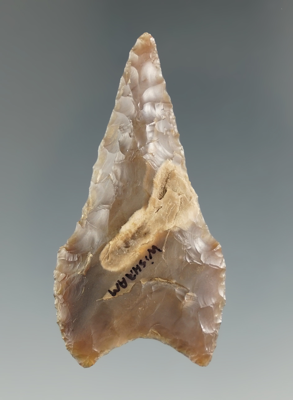 Excellent style is 2 1/8" Columbia Mule Ear knife found near the Columbia River.