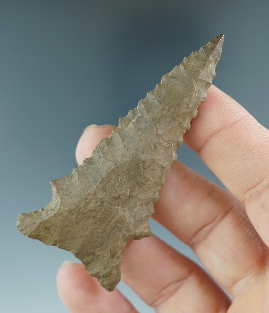 2 7/8" serrated Pine Tree point with minor restoration to 3/16" of tip - Hardin County TN.