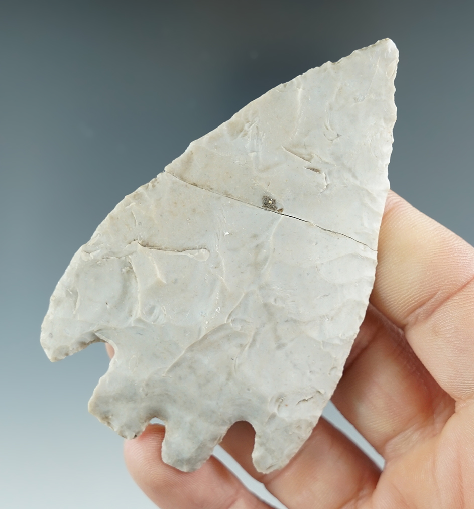 3 1/4" Montell that is broken and glued, found in Central Texas. Comes with a Rogers COA.