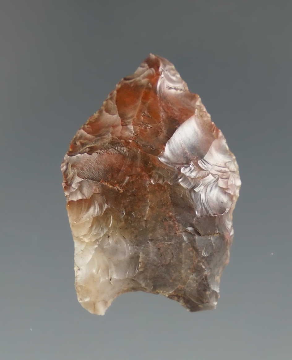 1 1/8" Paleo Spedis found near the Columbia River, Oregon by Shelby Lyle.  Ex. Jim Hogue