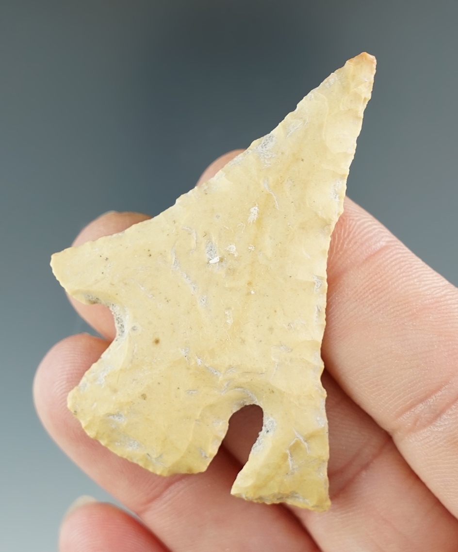 2 3/16" Calf Creek found in Texas with one missing ear. The remaining ear is original.