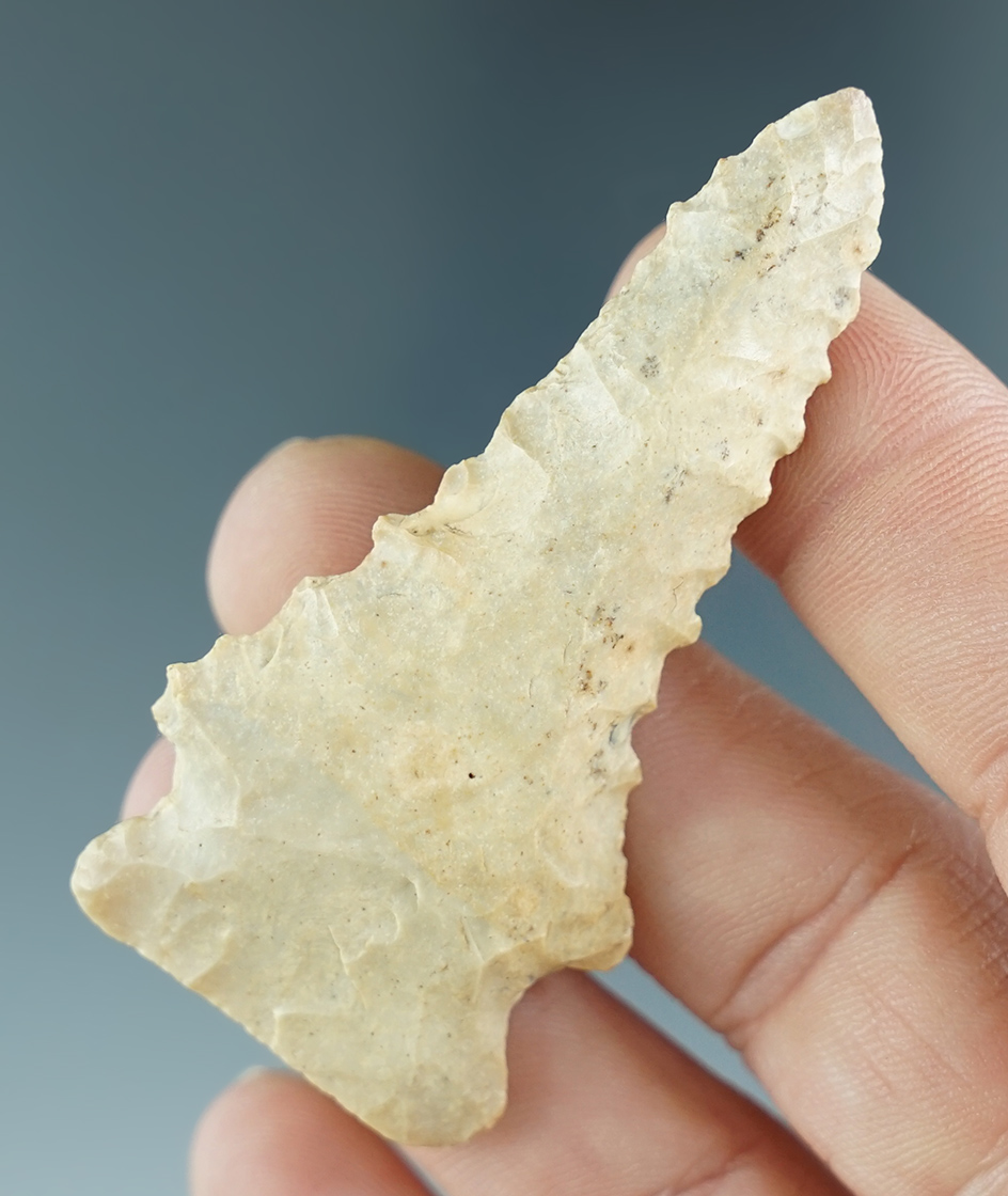 2 1/2" knife with excellent serrations found in Kentucky. Ex. Henry English Collection.