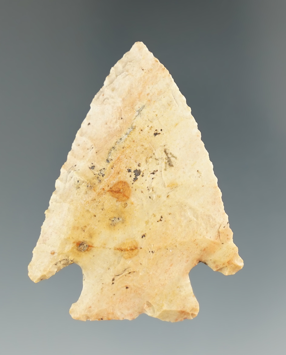 2" Knobbed Hardin found in Spencer County Indiana that is nicely beveled. Ex. Henry English