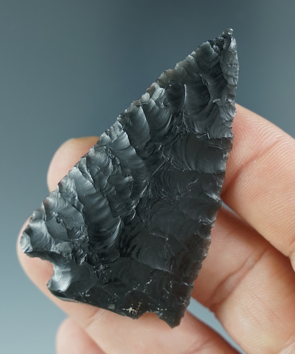 2 5/16" Northern Sidenotch snapped base found near Cougar Mountain, Lake County Oregon