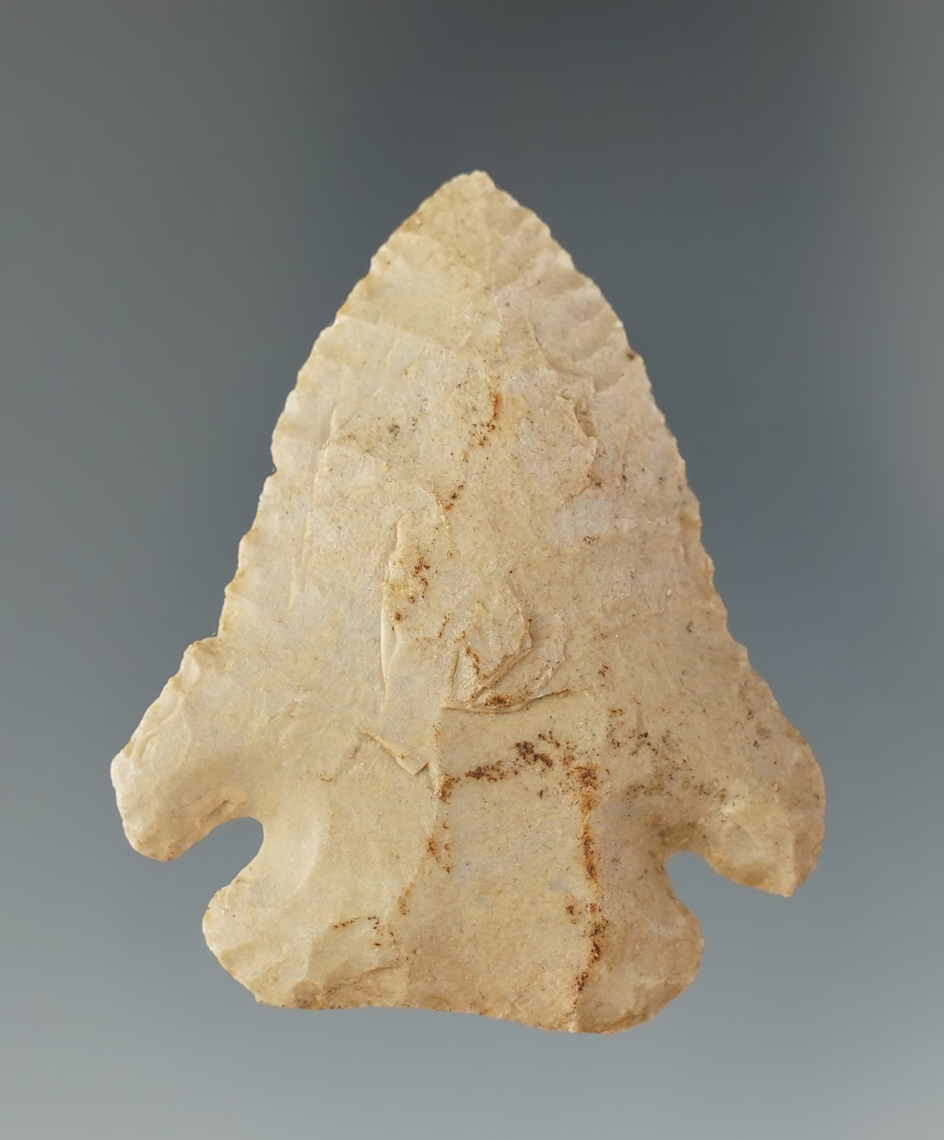 1 13/16" Pine Tree found in Shelby County Kentucky. Ex. Henry English Collection.