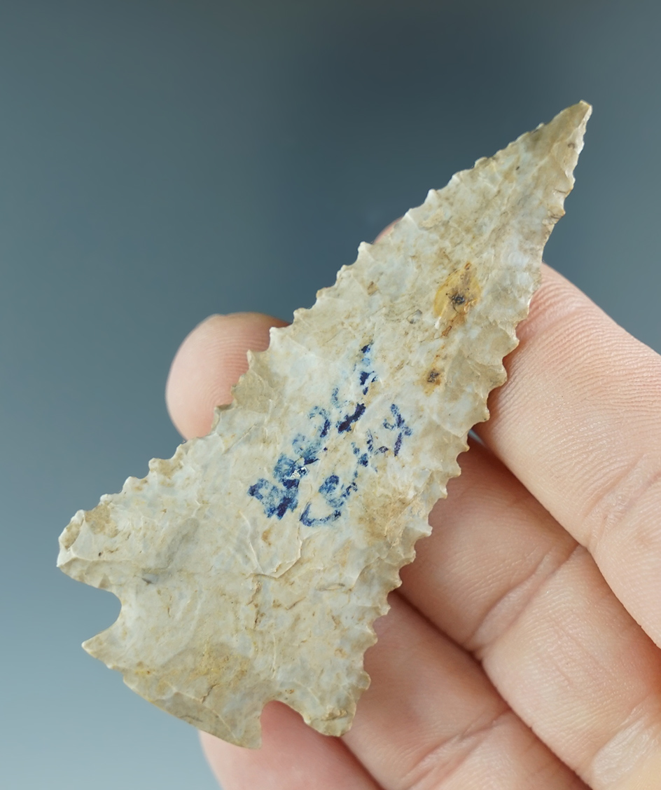 Exceptional! 2 3/4" Decatur fractured base found in Barron County Kentucky