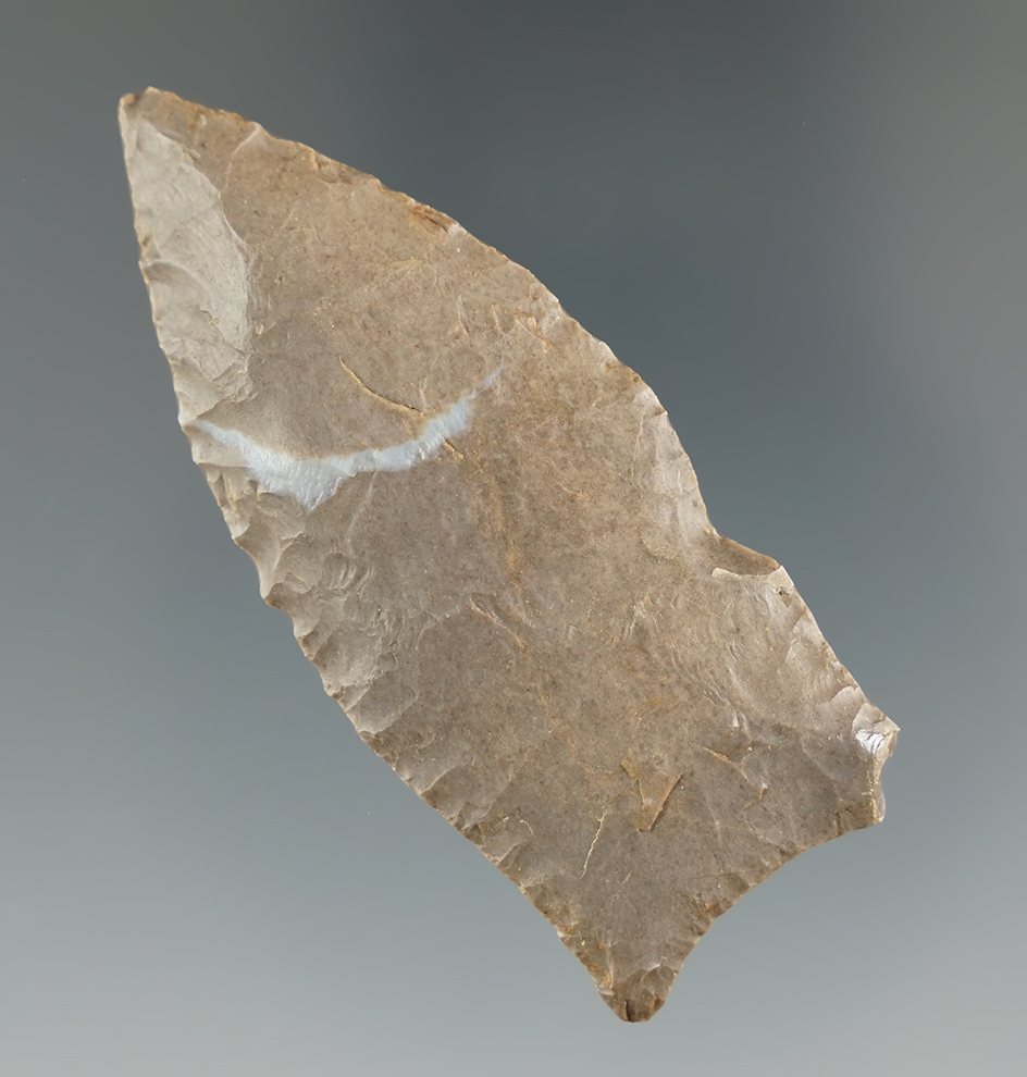 2 7/16" Arkabutla - Ft. Payne chert, found in Fleming Co., Kentucky by Ken Darnell. COA.