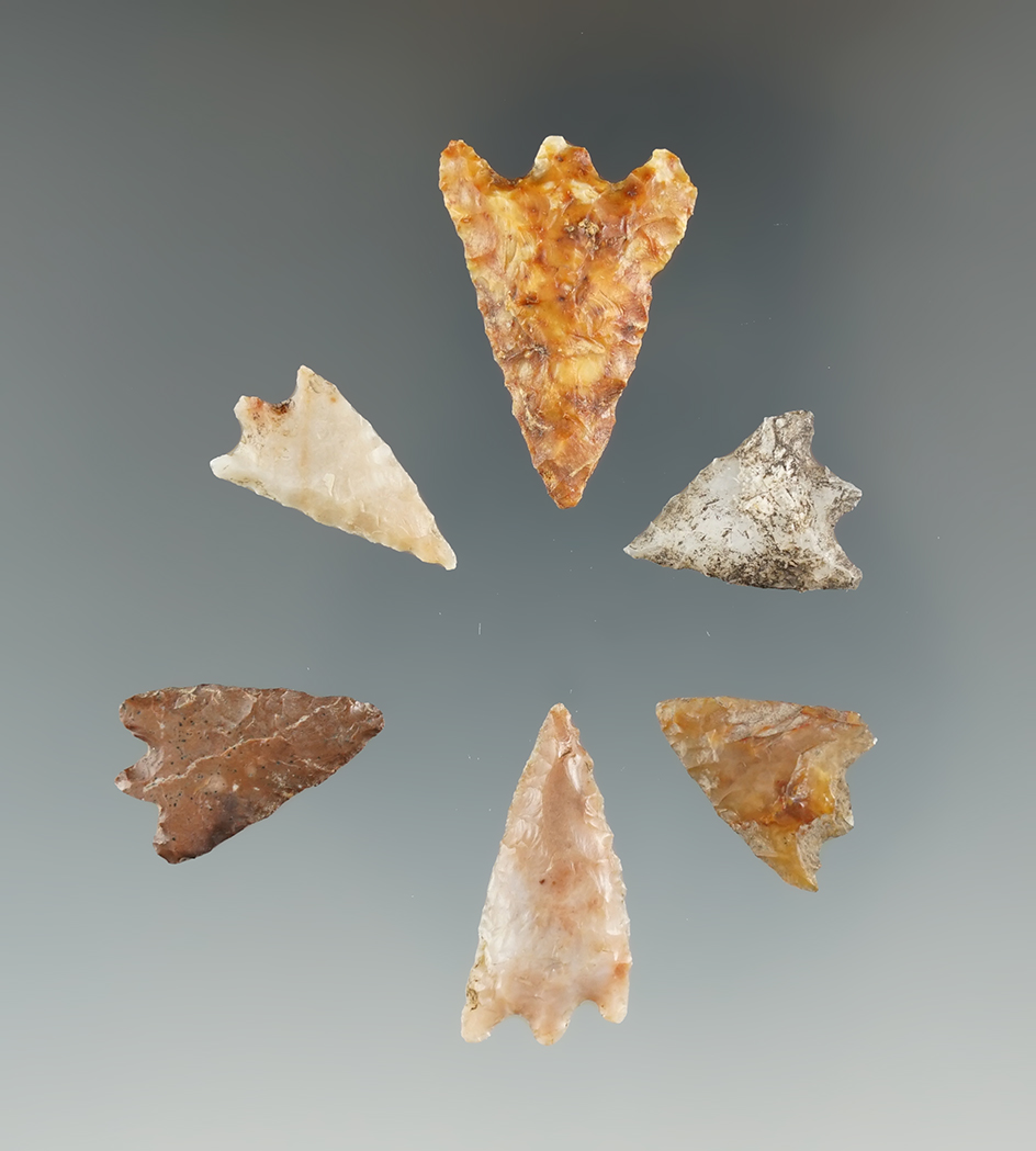 Set of six assorted short stemmed points found near the Lewis River, Washington.