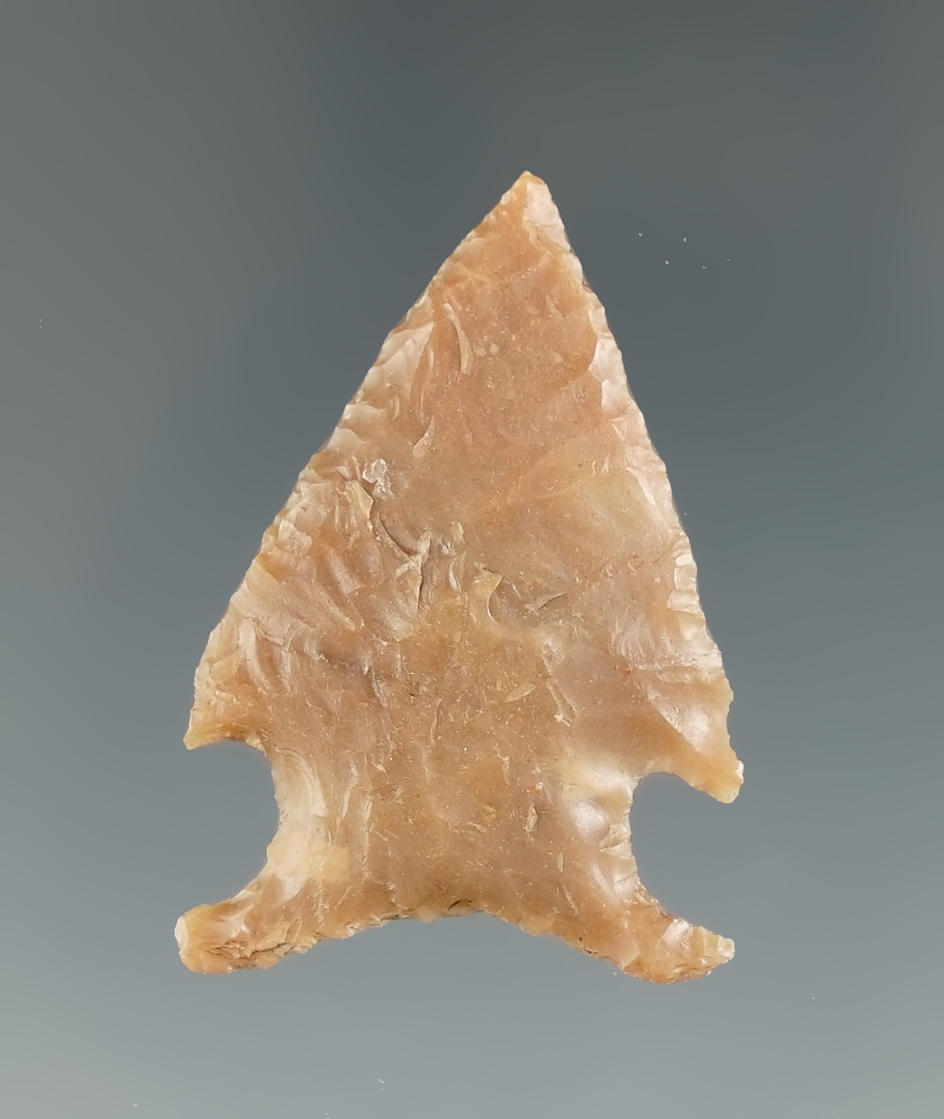 Excellent flaking and style on this 1 1/2" Friley point found in Texas.