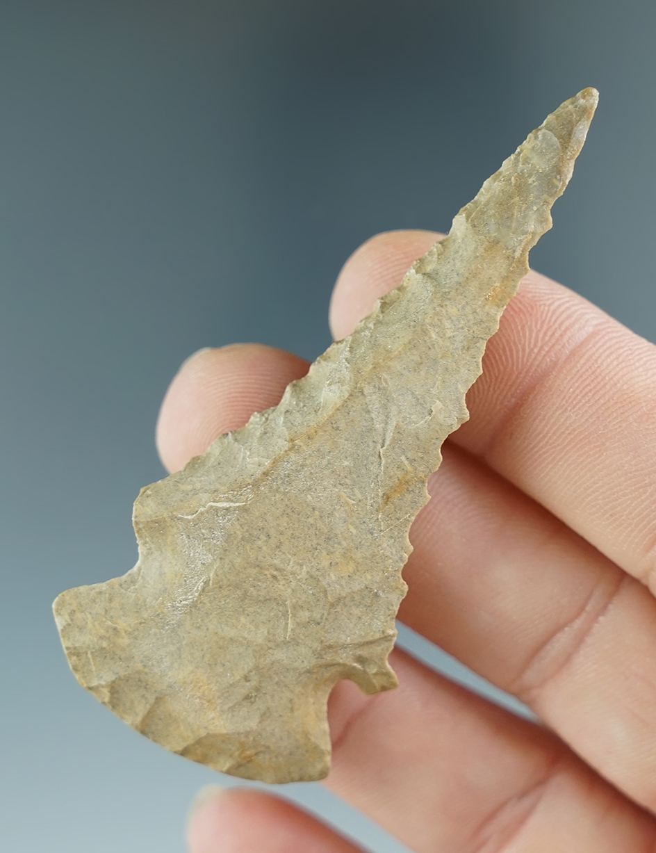 2 11/16" deeply beveled Archaic Dovetail found in Kentucky. Ex. Henry English Collection.