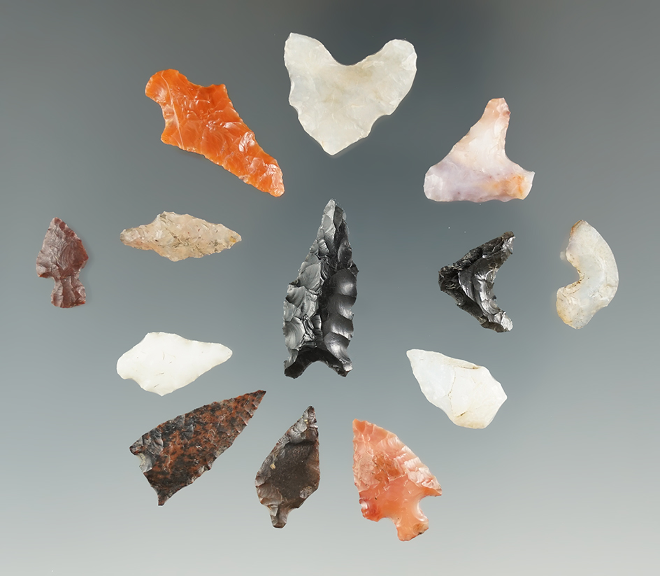 Set of 13 assorted arrow points found near the Columbia River, largest is 1 1/16".