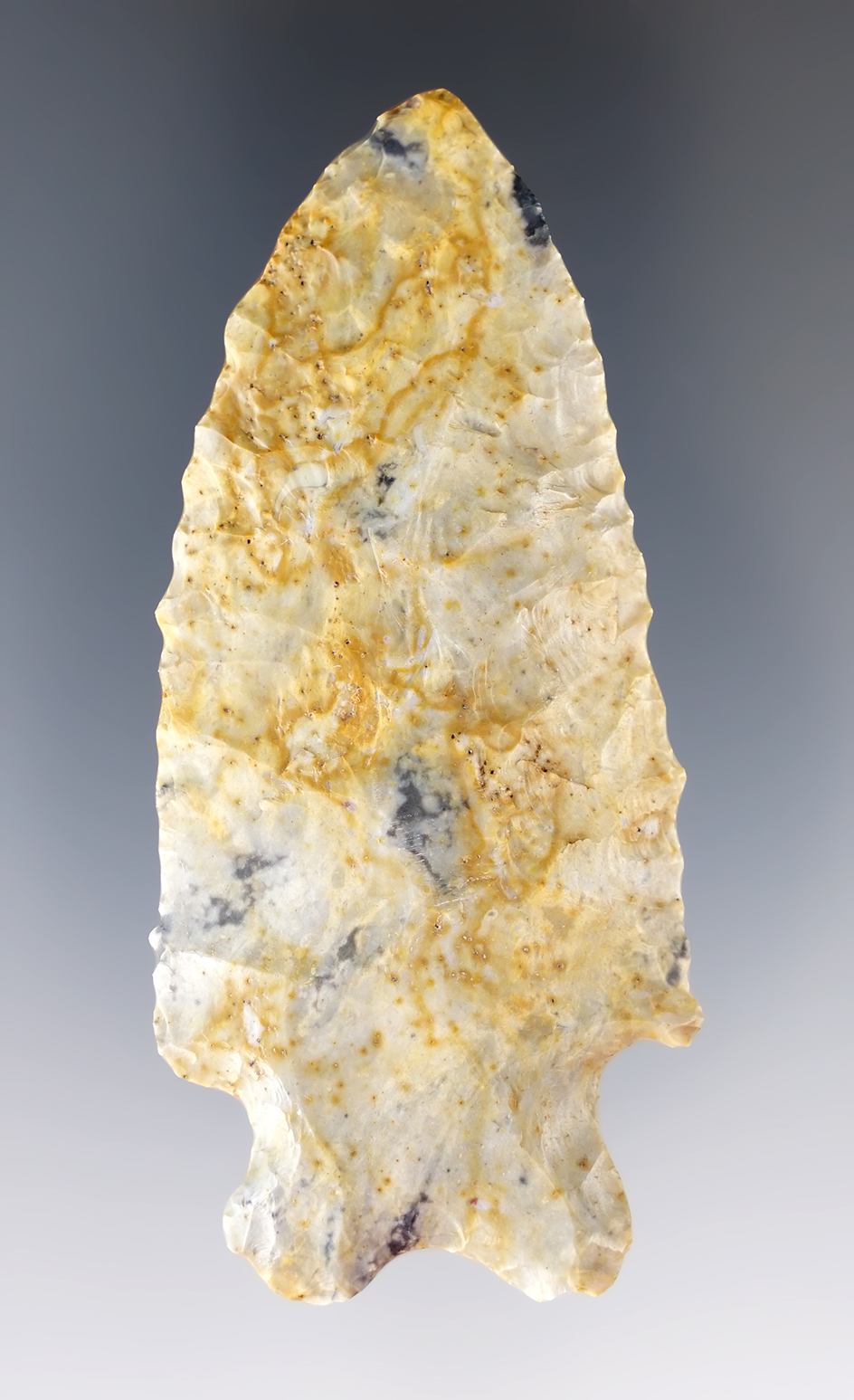 3" Ohio MacCorkle Bifurcate that is thin and finely flaked.