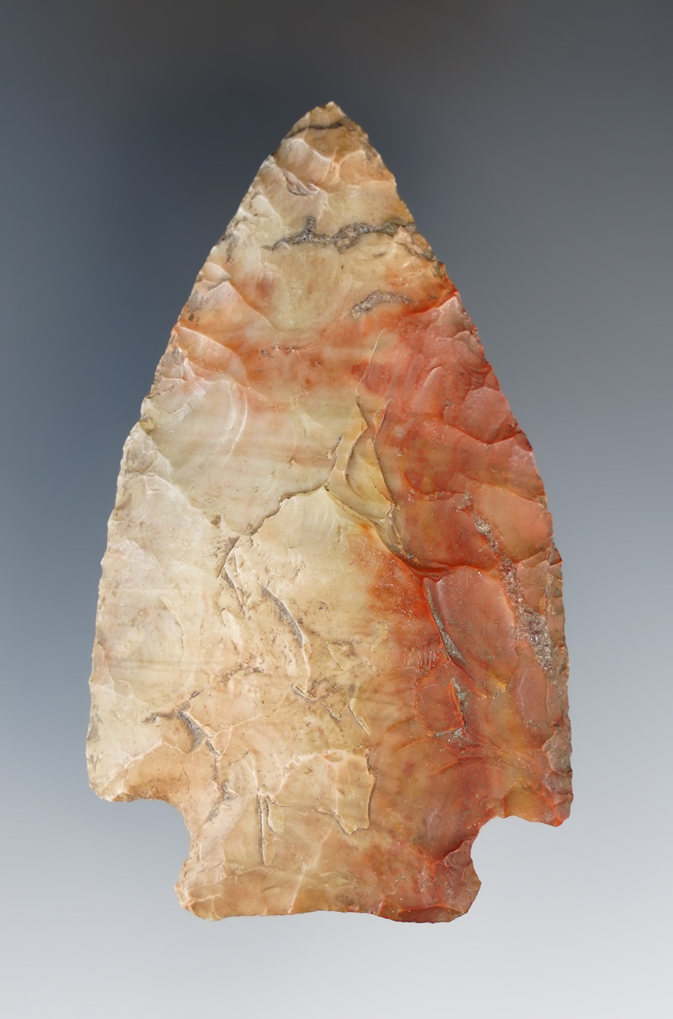 3" Pentagonal  Nethers variety Flint Ridge Flint, Ohio.