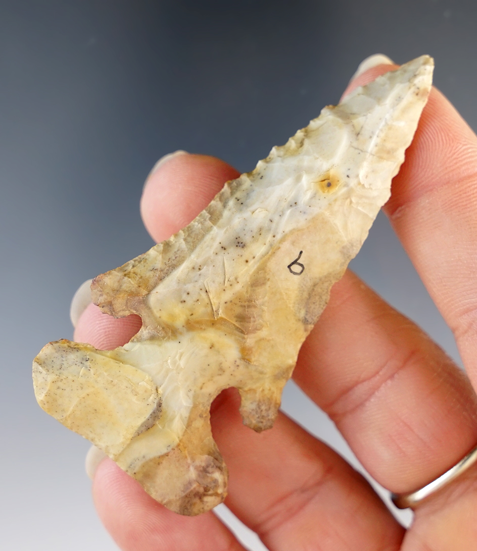 2 3/4" Thebes Bevel, colorful Flint Ridge. Found in Ohio.