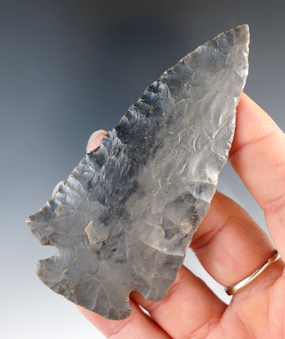 3 1/2" Dovetail, hornstone, Kentucky. Davis G-8 COA.