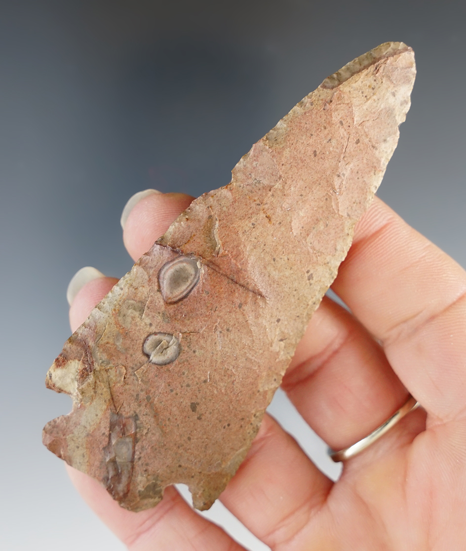 3 5/8" Colorful Cornernotch Knife found in the Kentucky.