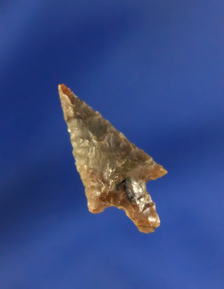 15/16" Desert Side Notch that is nicely flaked and well styled, found near the Columbia River.