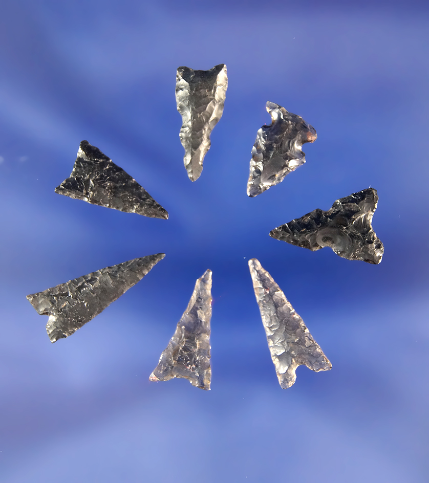Set of seven nicely made southwestern U.S. Bird points made from obsidian, largest is 13/16".