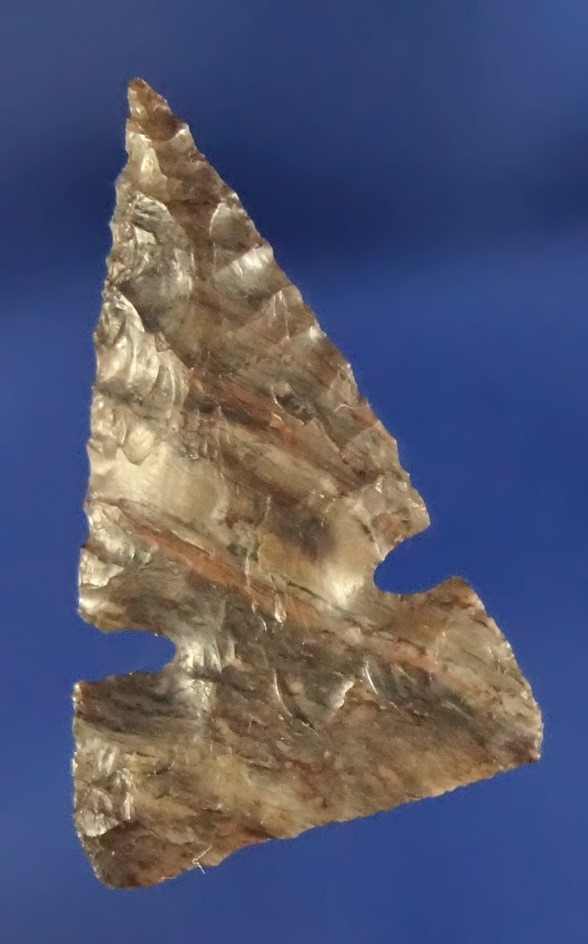 1" Sidenotch- nicely flaked on both sides - attractive material in perfect condition - Columbia