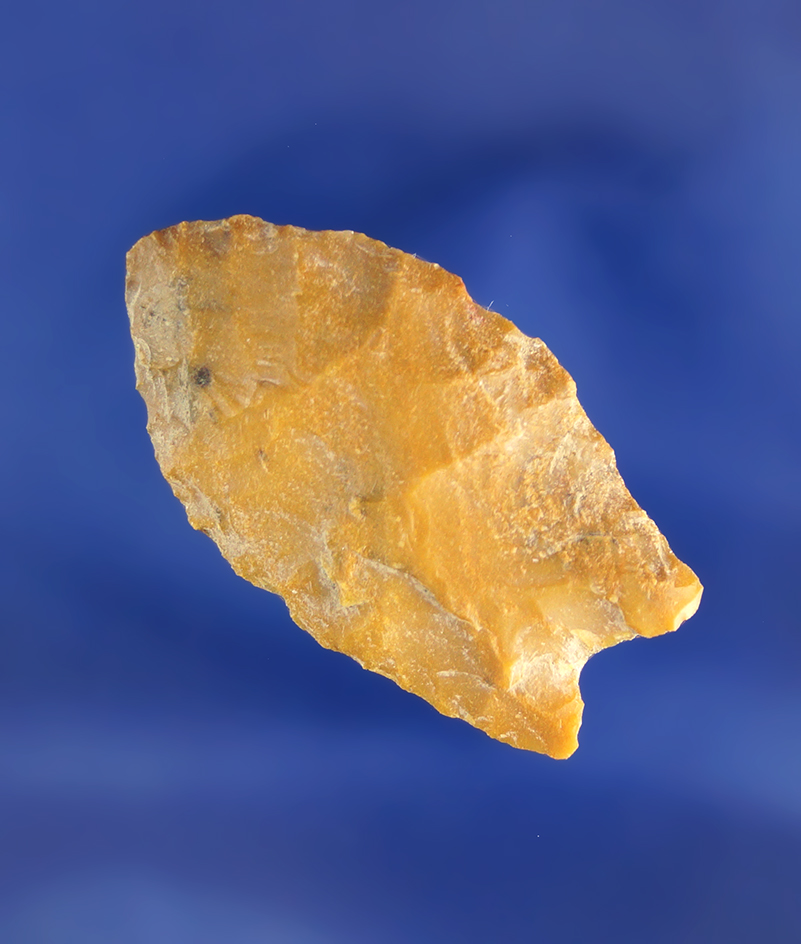 1 1/2" Rare Paleo Dart Point - Spedis variant that is nicely flaked found near the Columbia River.