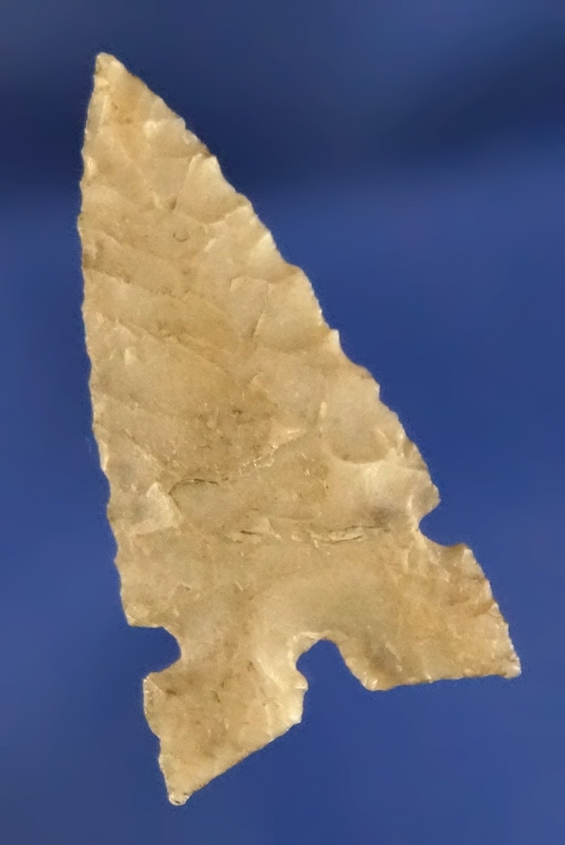 1 1/16" classic styled Desert Sierra with excellent flaking  found near the Dalles