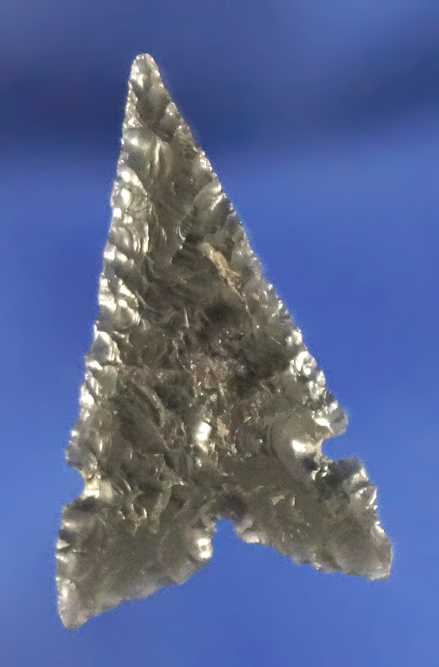 15/16" Desert Sierra that is very thin and well flaked found near the Dalles, Columbia River.